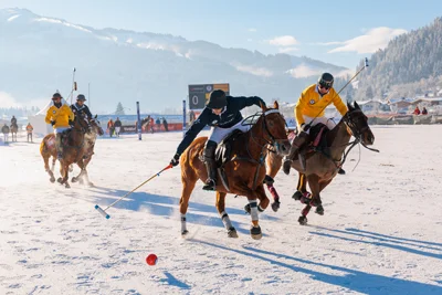 Singureni-Manor-Polo-Cup_Carousel-19