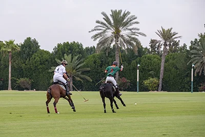 Singureni-Manor-Polo-Cup_Carousel-2