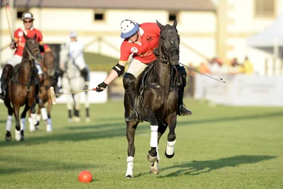 Singureni-Manor-Polo-Cup_Carousel-21