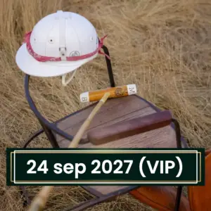 Day 1 – Friday, September 24, 2027: VIP Experience