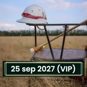 Day 2 – Saturday, September 25, 2027: VIP Experience