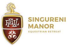 sm logo