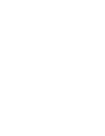 world polo w